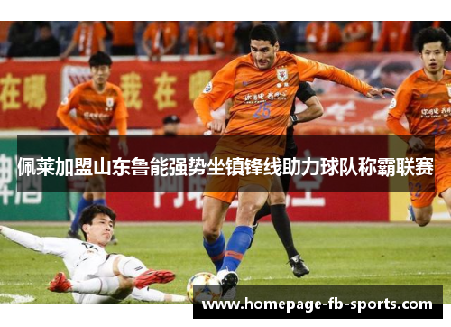 佩莱加盟山东鲁能强势坐镇锋线助力球队称霸联赛