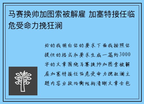 马赛换帅加图索被解雇 加塞特接任临危受命力挽狂澜